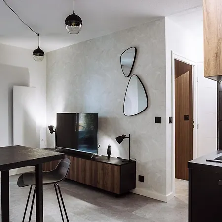 Appartement Henri IV - 2 Pieces - Parking Gratuit à Billere Extérieur photo